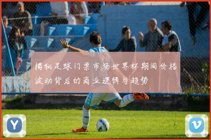 揭秘足球门票市场世界杯期间价格波动背后的商业逻辑与趋势