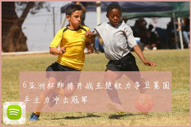 6亚洲杯即将开战王楚钦力争卫冕国乒主力冲击冠军