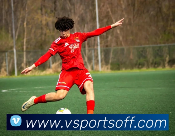 vsports体育平台生态图