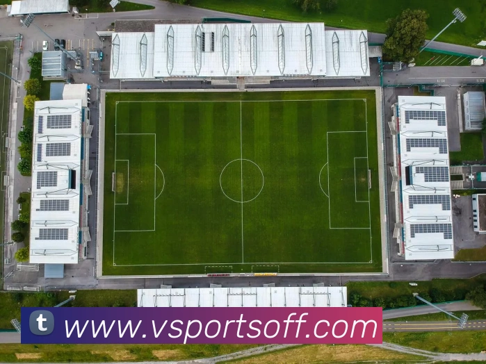 vsports体育APP 封面图