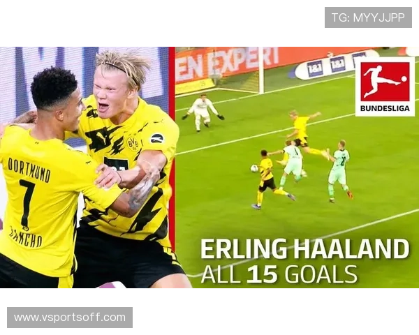 德甲球队图文解说全纪录